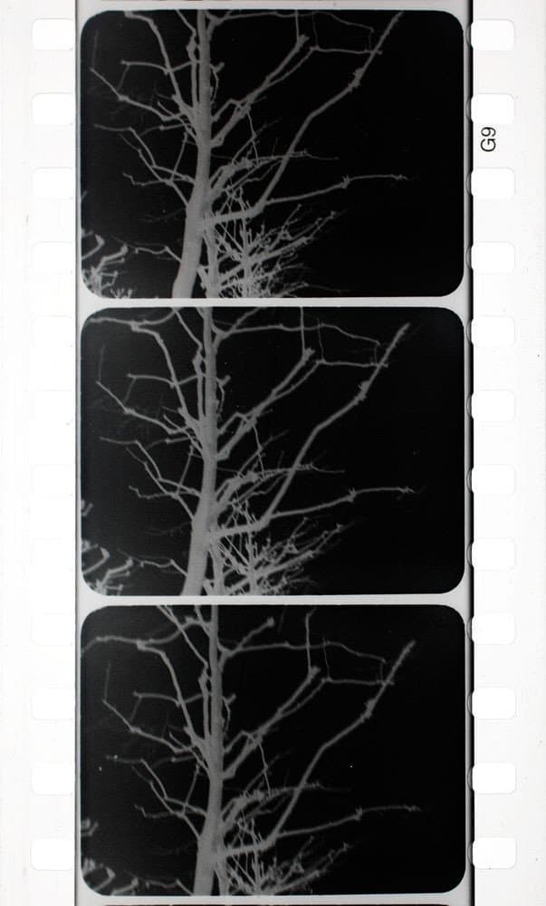 Arborescent Games: Fugue in Minor backdrop
