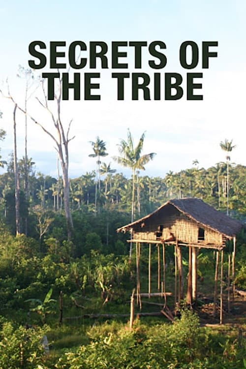 Secrets of the Tribe backdrop