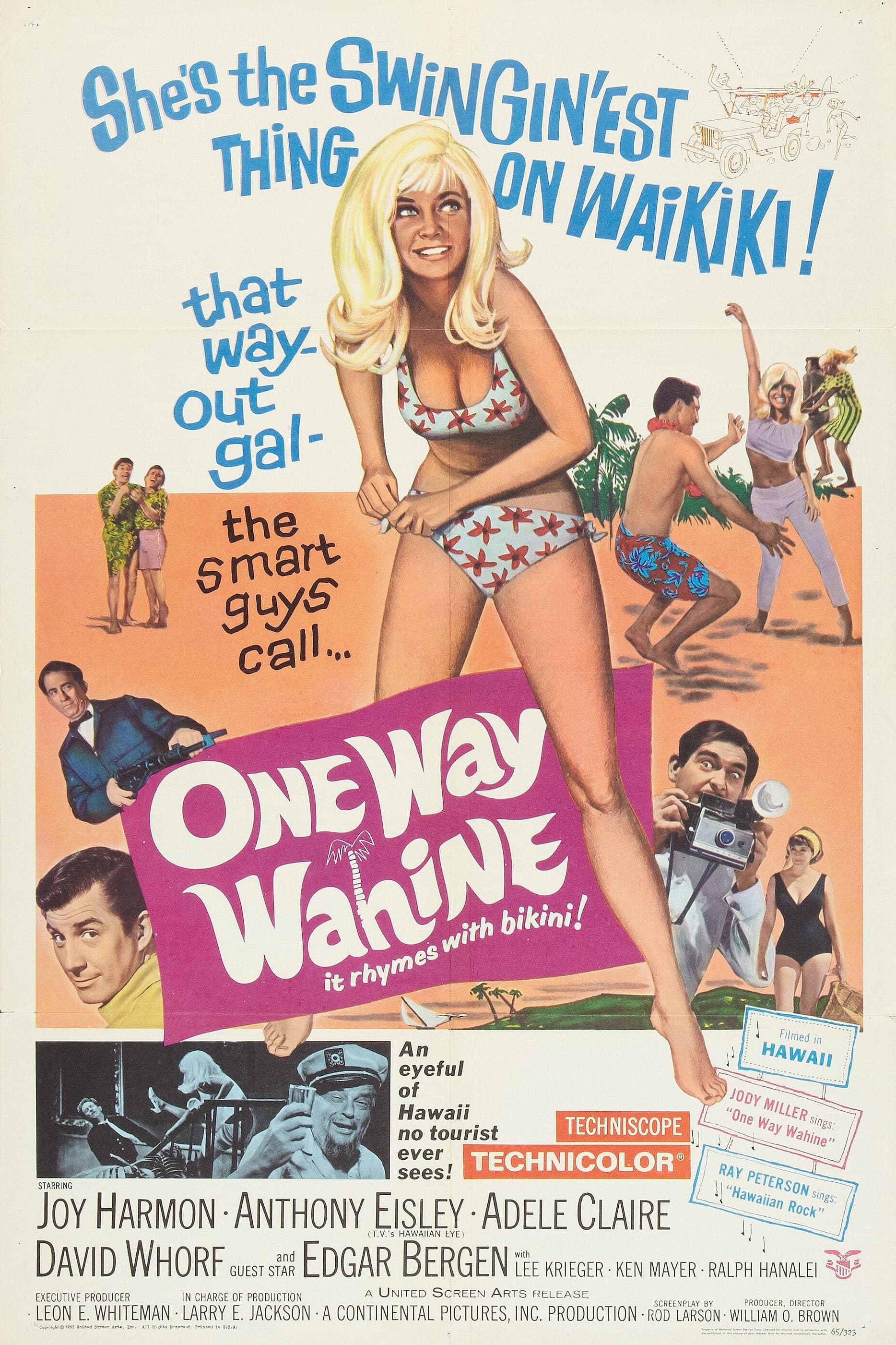 One Way Wahine backdrop