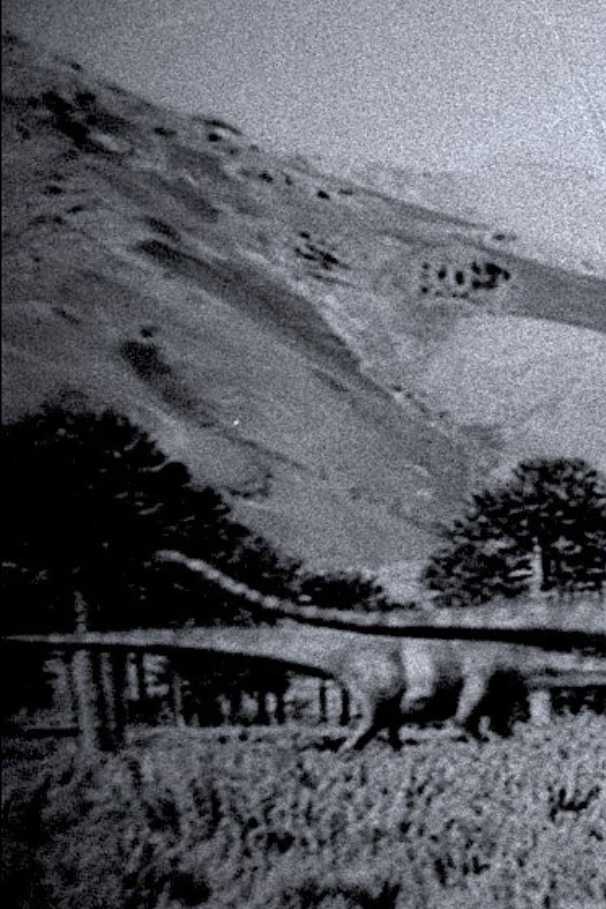 Notes from the Anthropocene backdrop