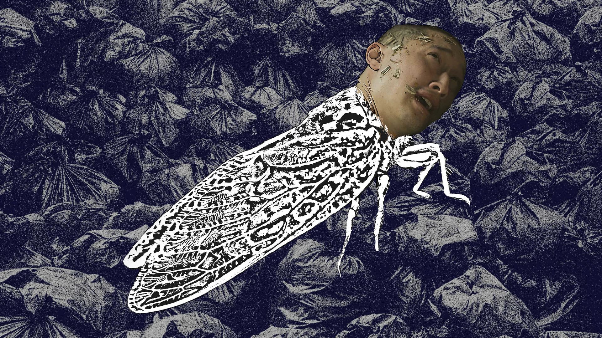 A Cicada Molting backdrop