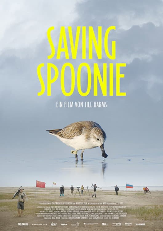 Saving Spoonie backdrop