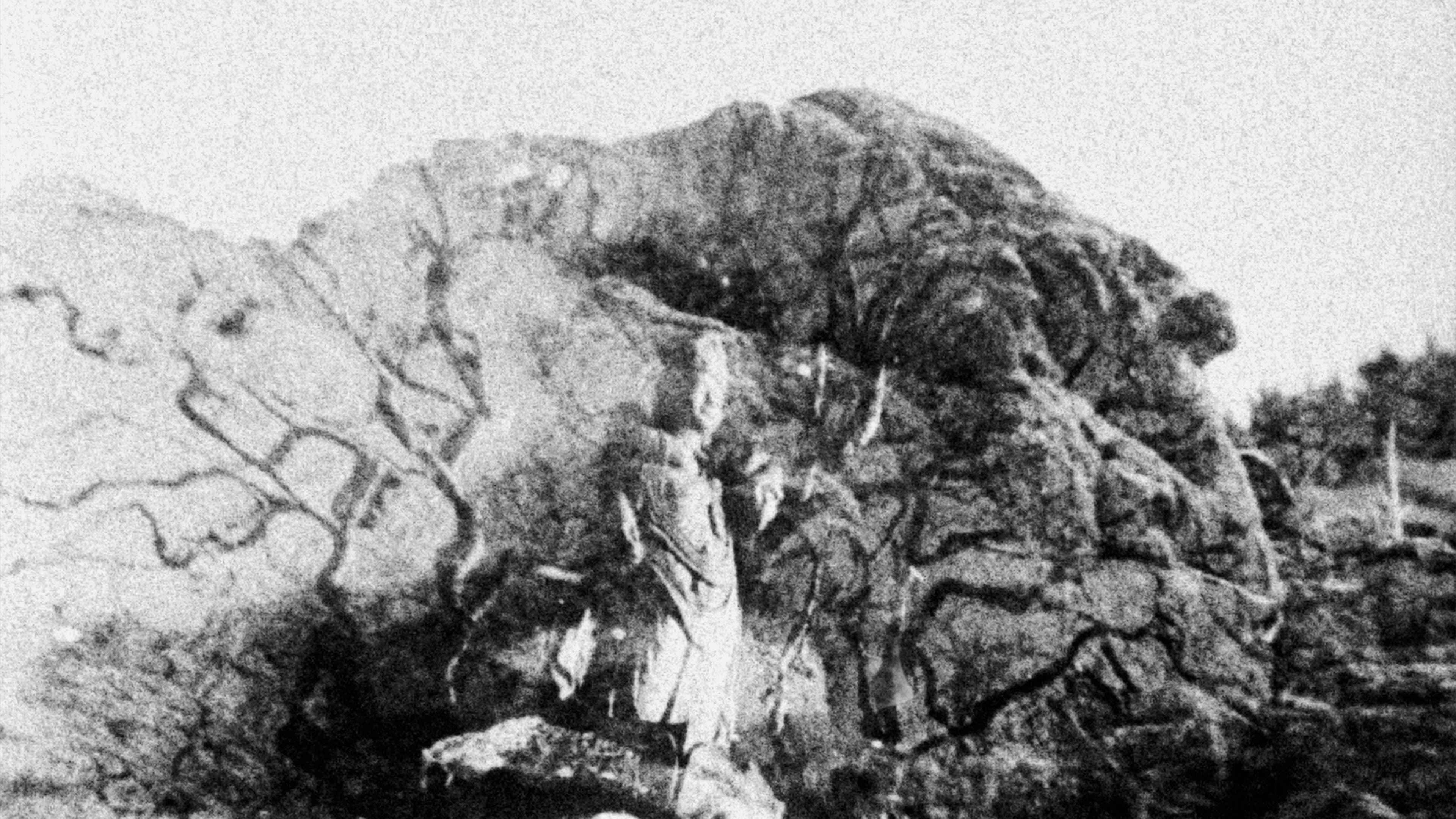 Buseok backdrop