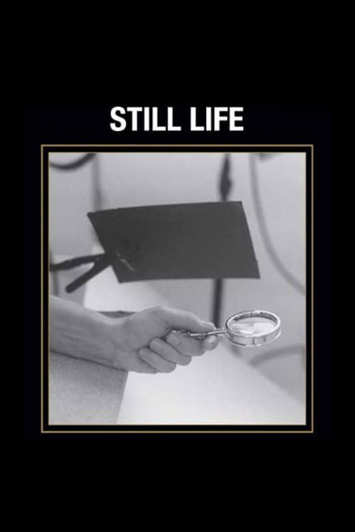 Still Life backdrop
