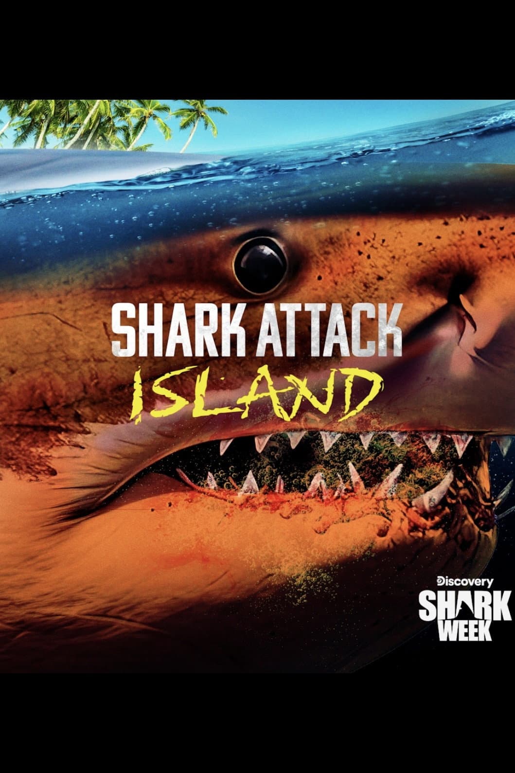 Shark Attack Island backdrop