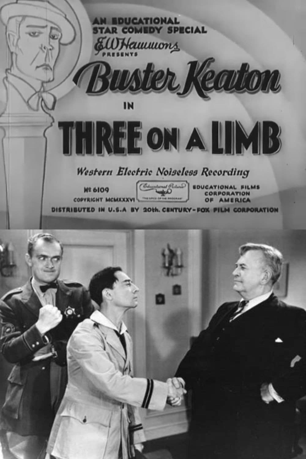 Three on a Limb backdrop
