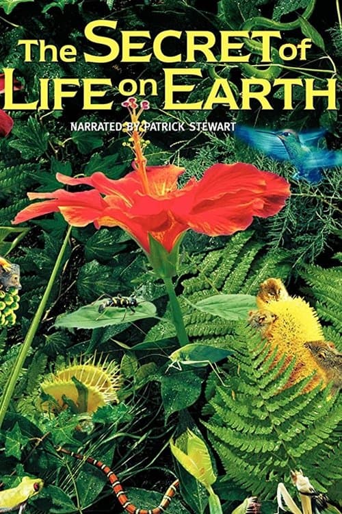 The Secret of Life on Earth backdrop