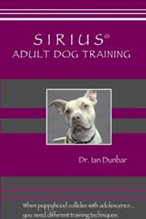 SIRIUS Adult Dog Training backdrop