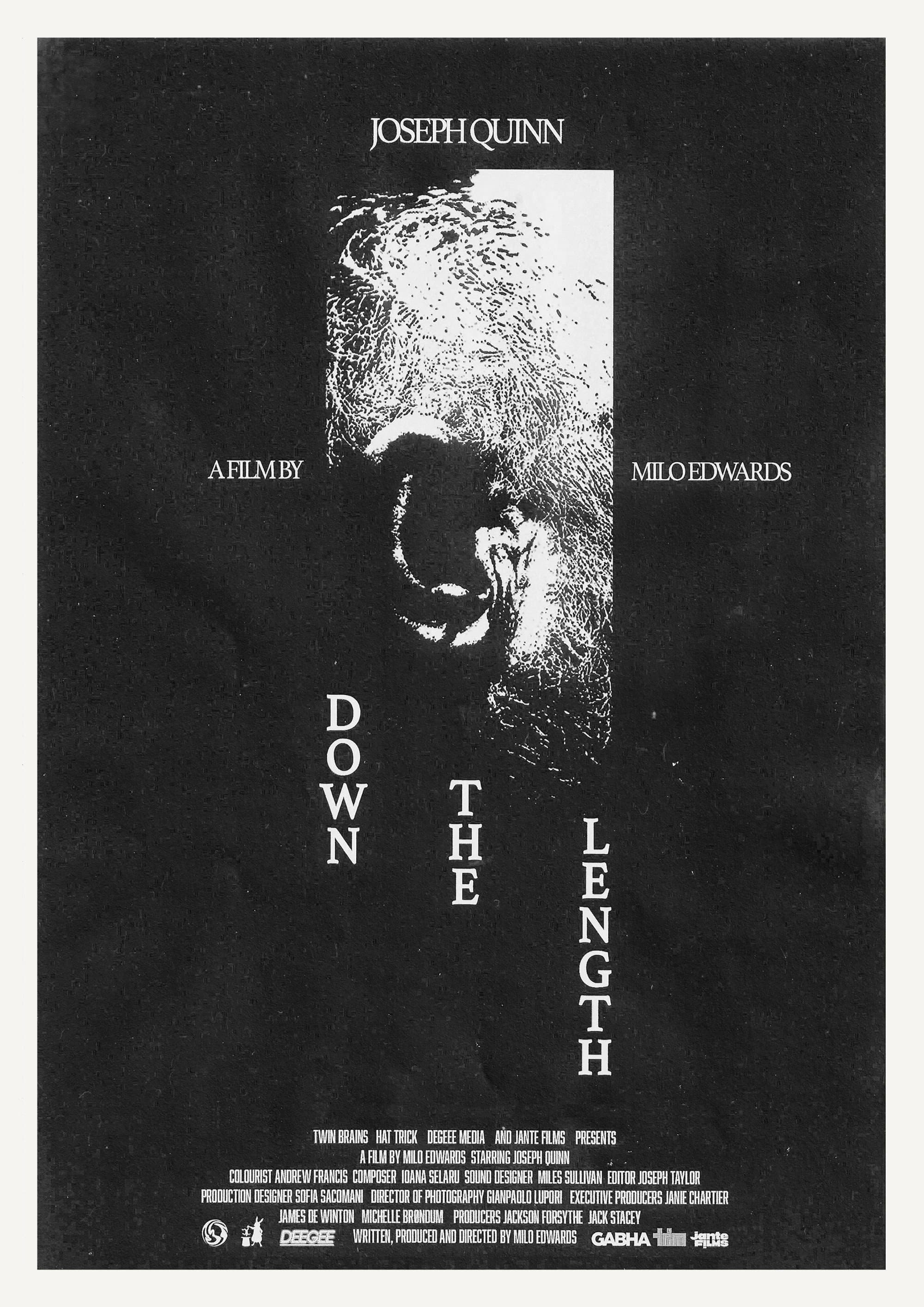 Down The Length backdrop