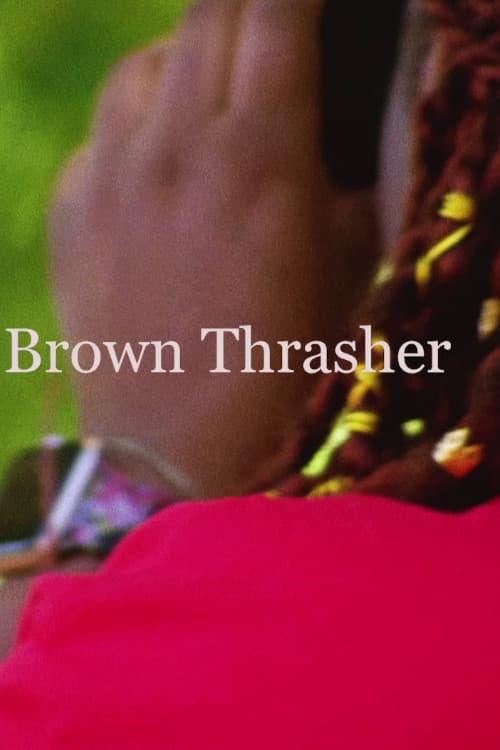 Brown Thrasher backdrop