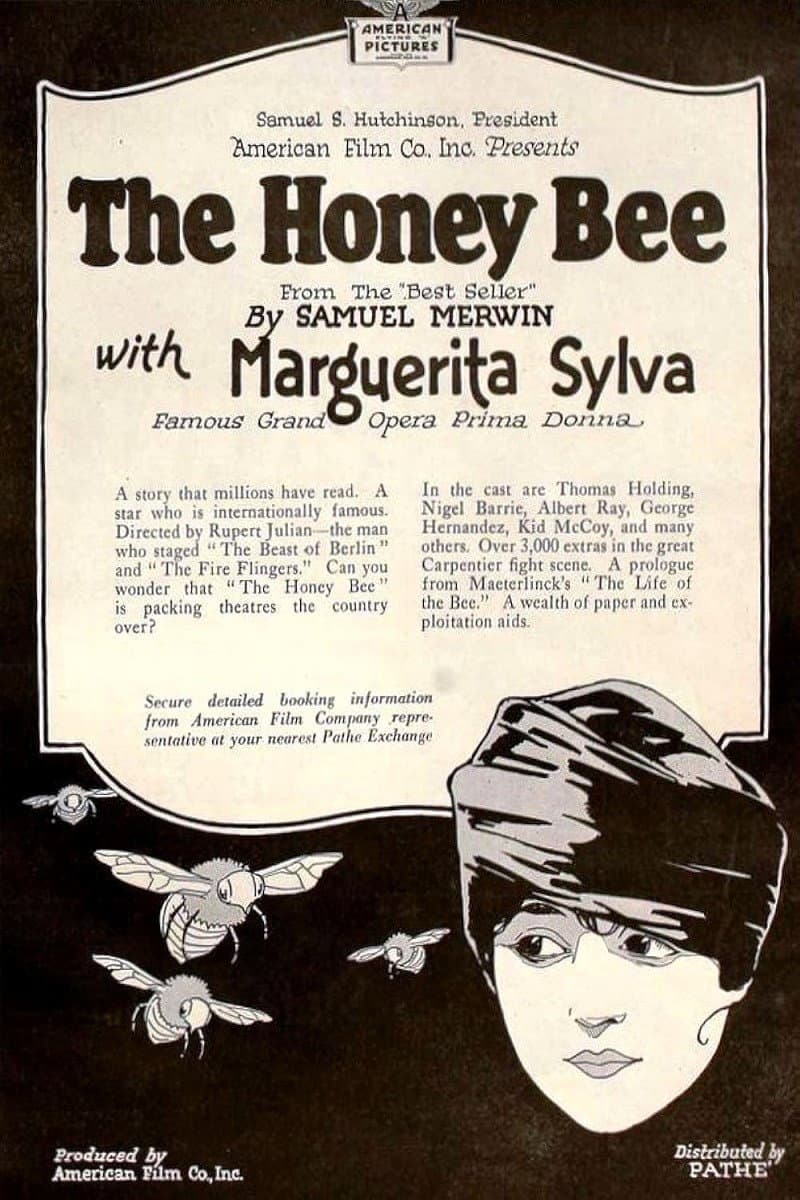 The Honey Bee backdrop