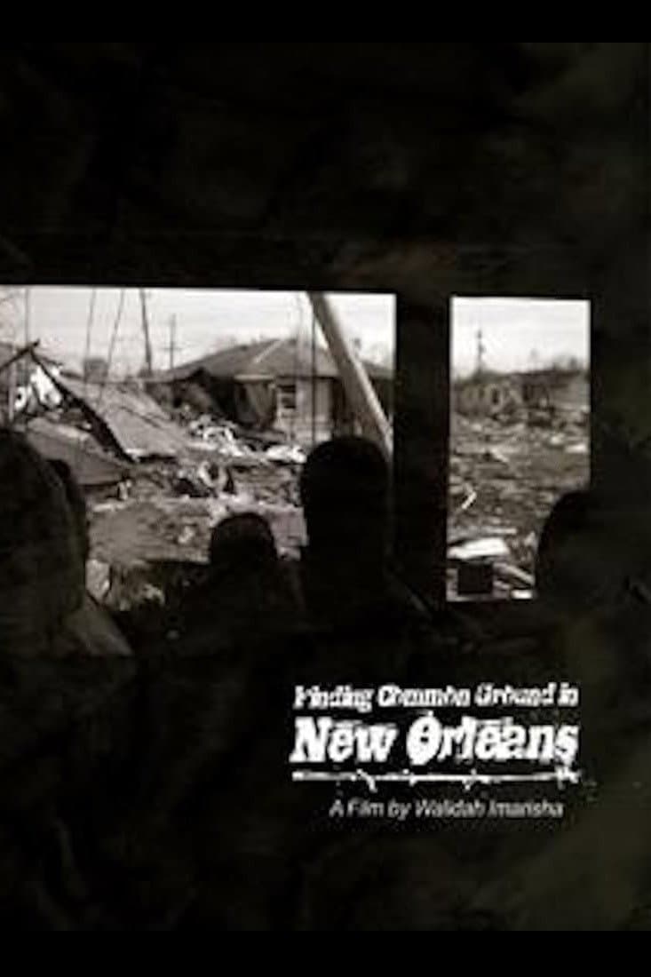 Finding Common Ground in New Orleans backdrop
