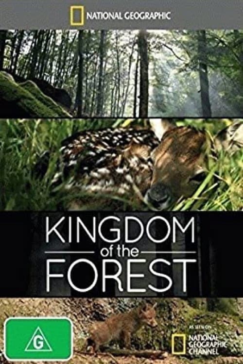 Kingdom of the Forest backdrop