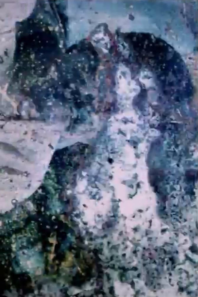Riddle: Shout of Man backdrop
