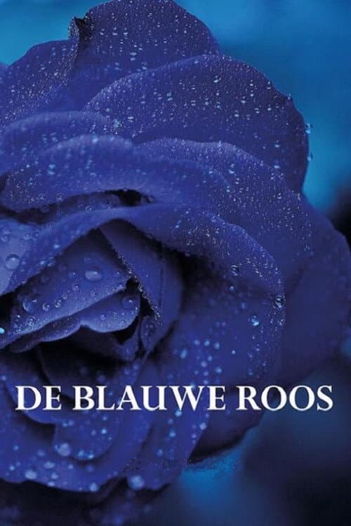 The Blue Rose backdrop