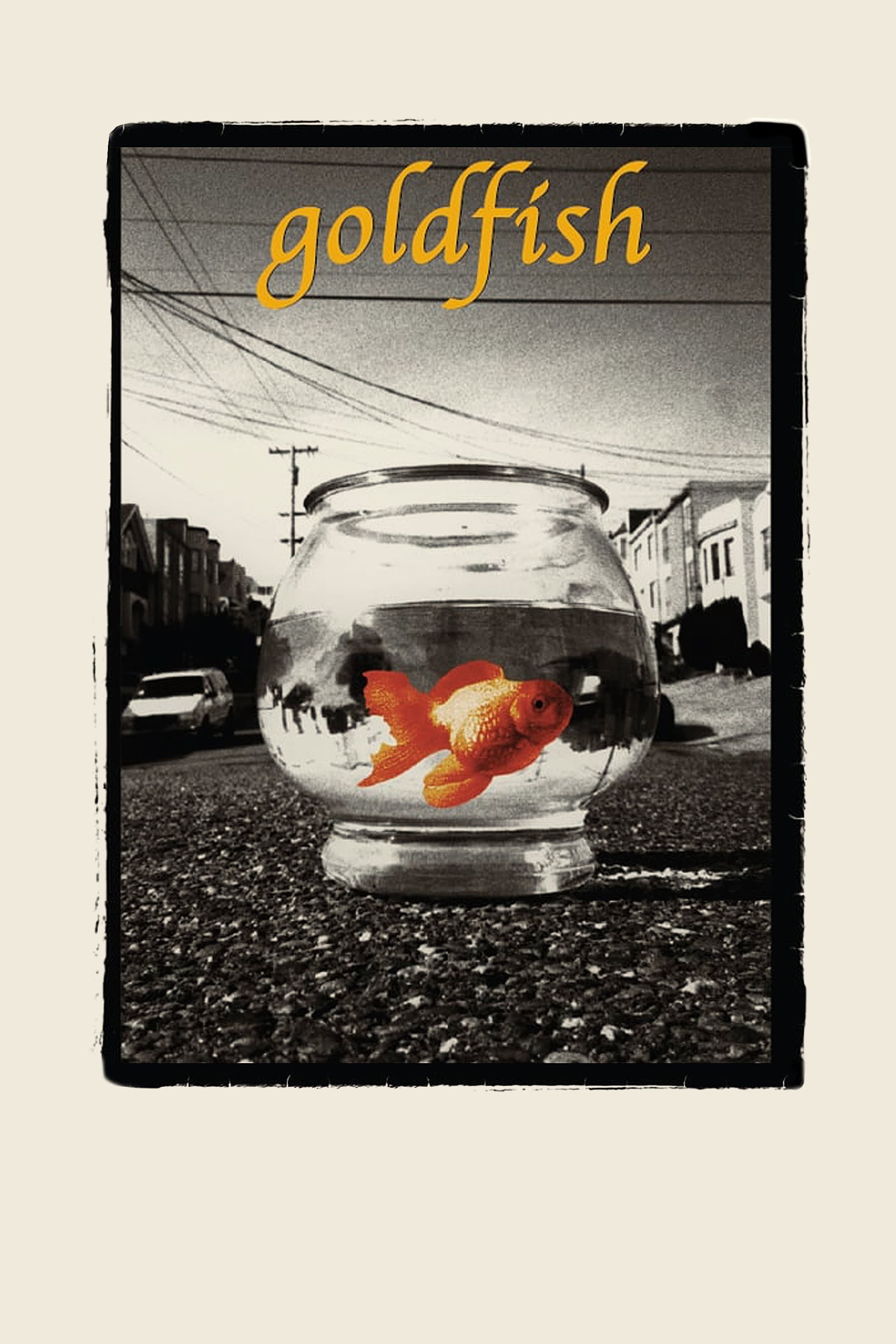 Goldfish backdrop