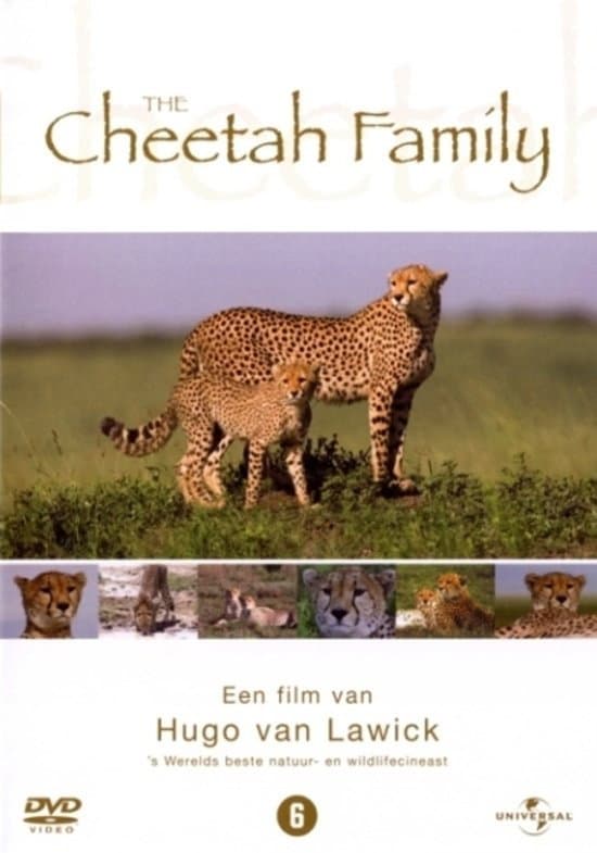 Cheetah Story backdrop