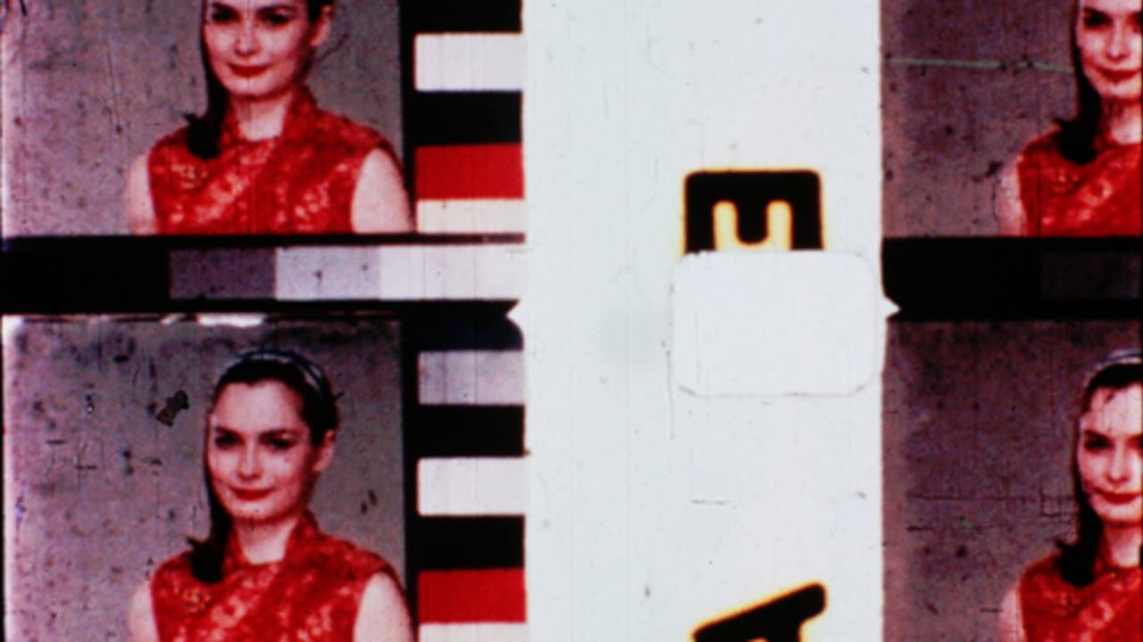 Film in Which There Appear Edge Lettering, Sprocket Holes, Dirt Particles, Etc. backdrop