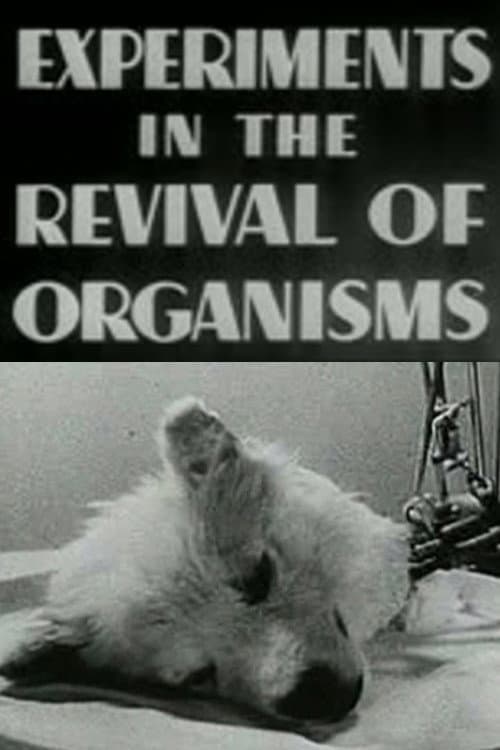 Experiments in the Revival of Organisms backdrop