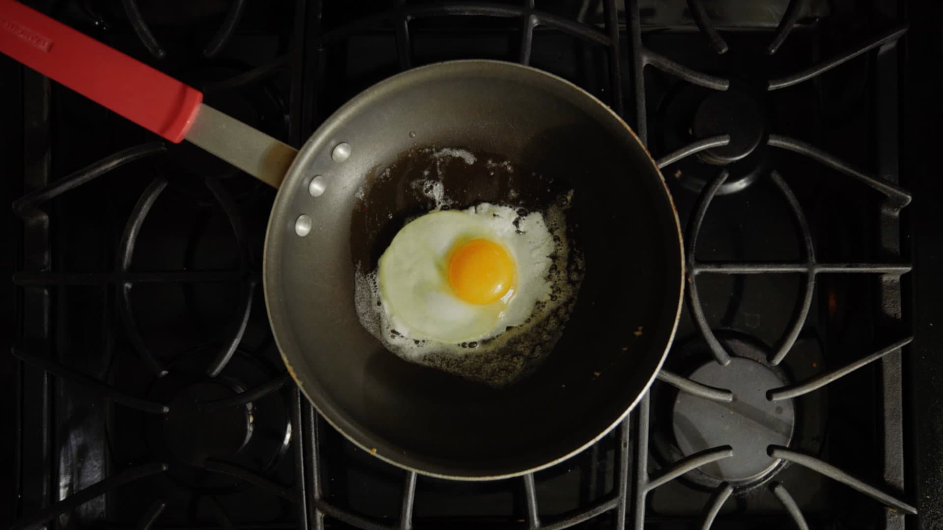 The Perfect Egg. backdrop