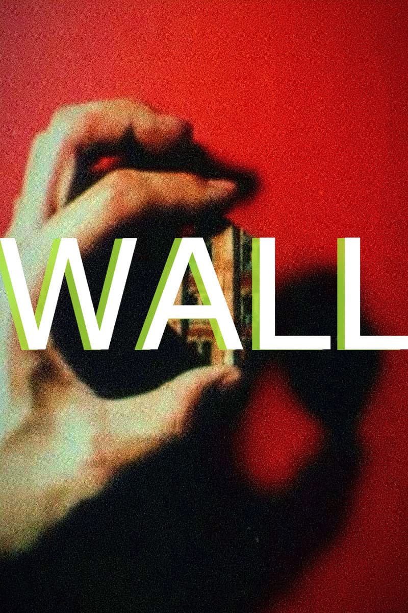 Wall backdrop