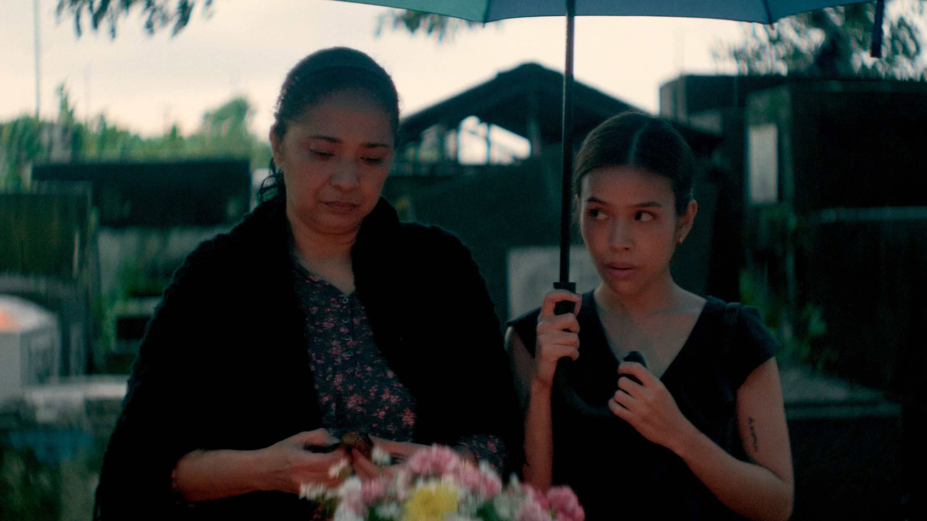 When It Rained Malunggay Leaves backdrop