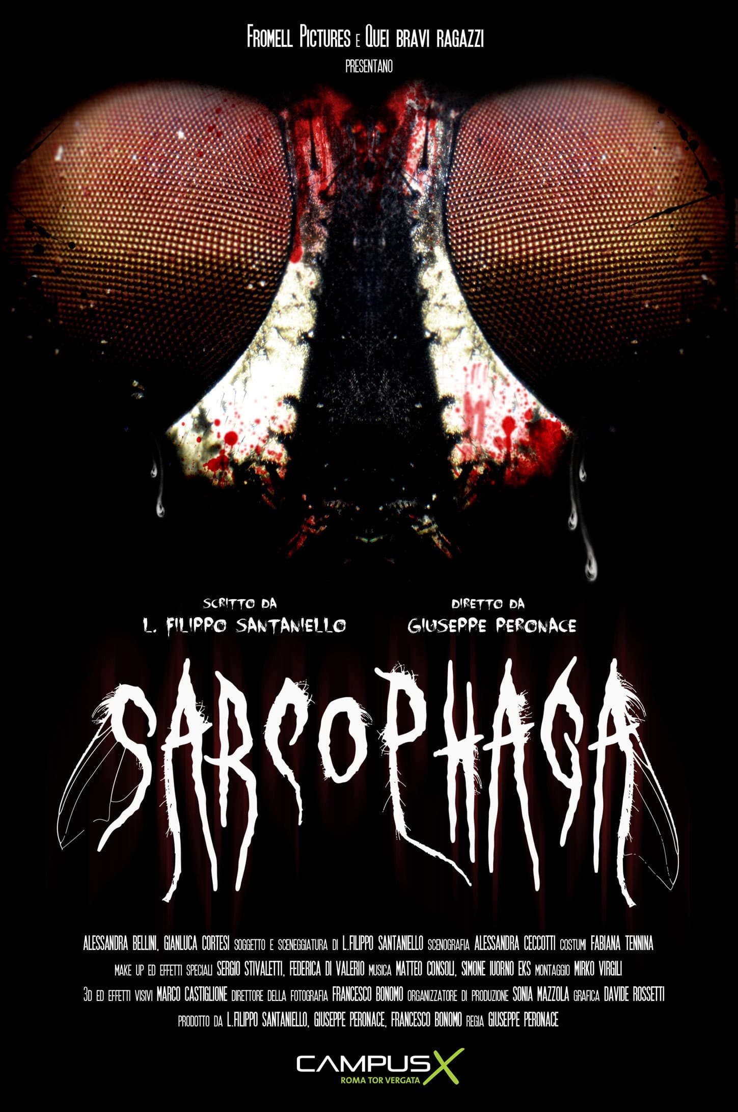 Sarcophaga backdrop
