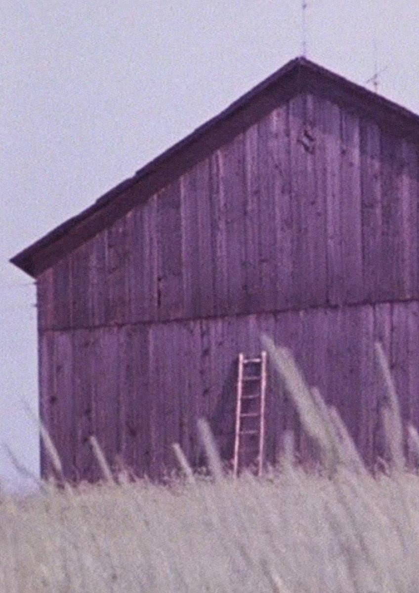 Barn Rushes backdrop