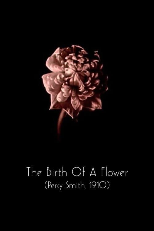 The Birth of a Flower backdrop