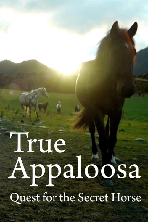 True Appaloosa backdrop