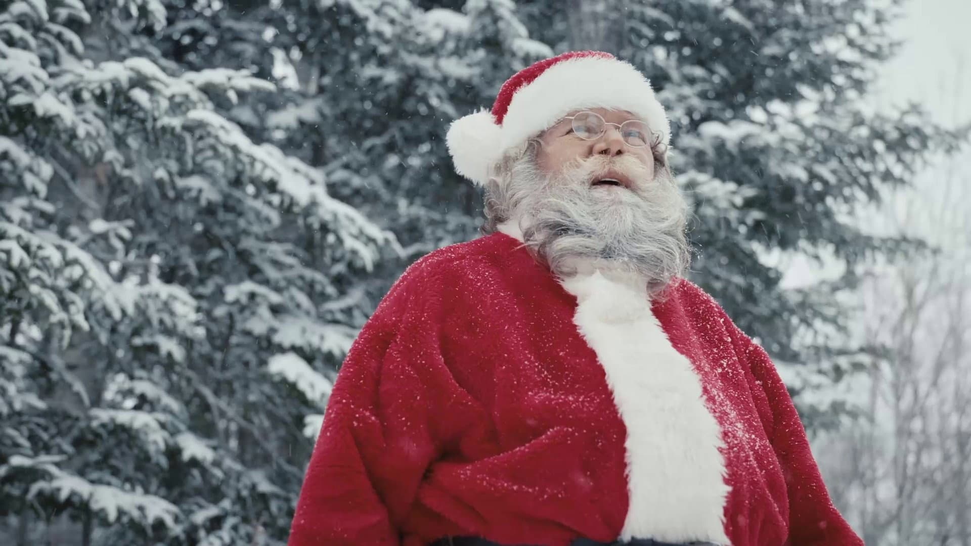 Fernand's Christmas backdrop