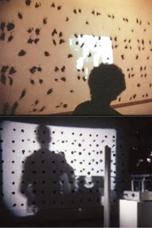 Finch Project backdrop