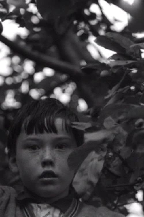 An Untitled Film backdrop