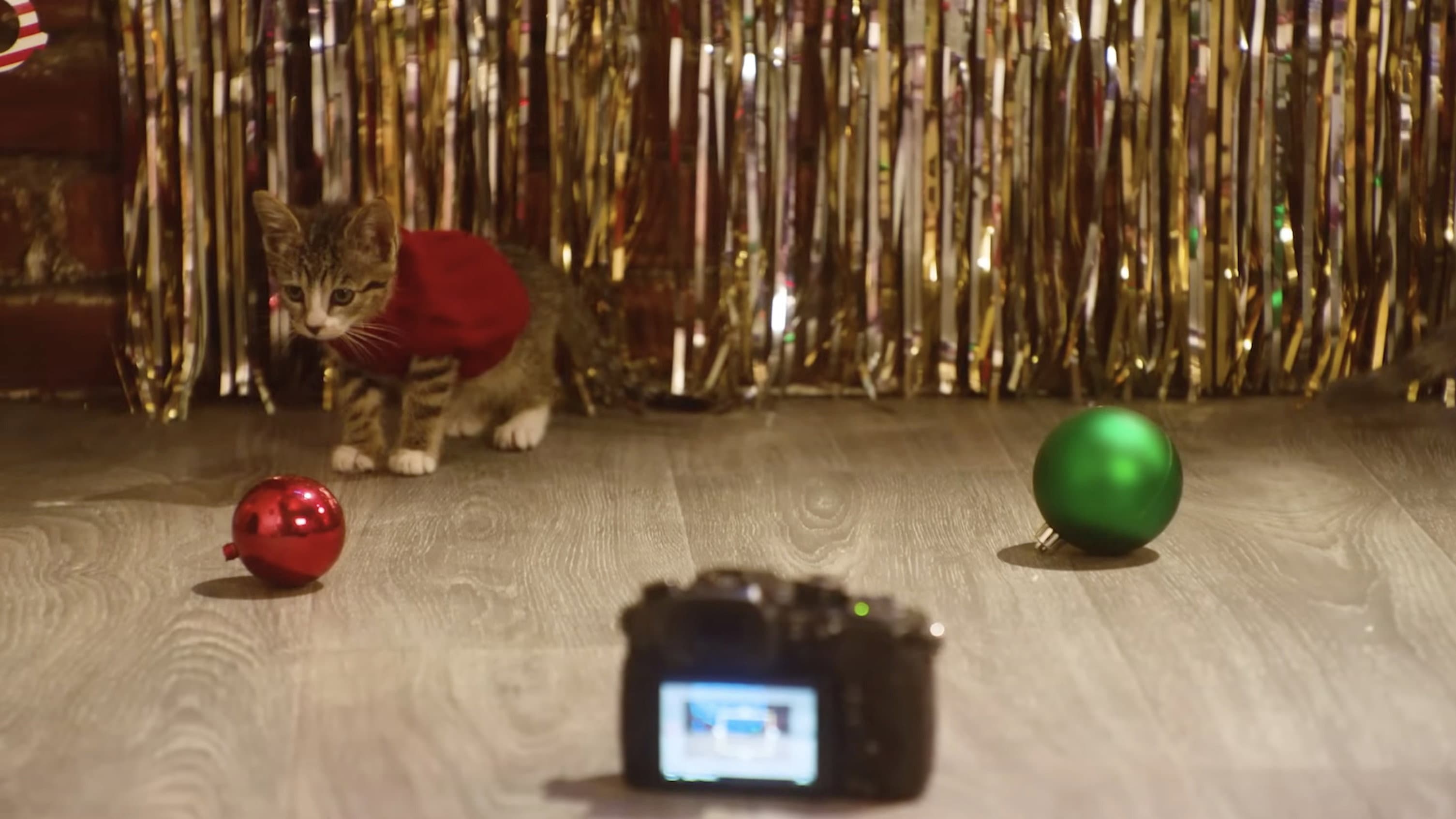 A Very Kitty Cocktail Party backdrop