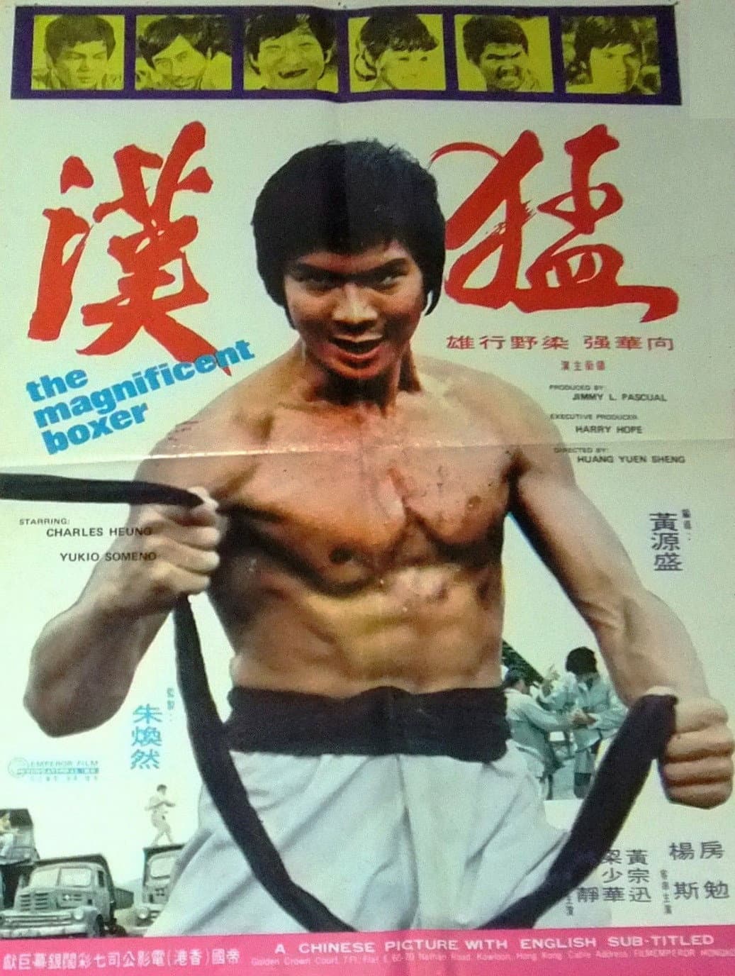 The Magnificent Boxer backdrop