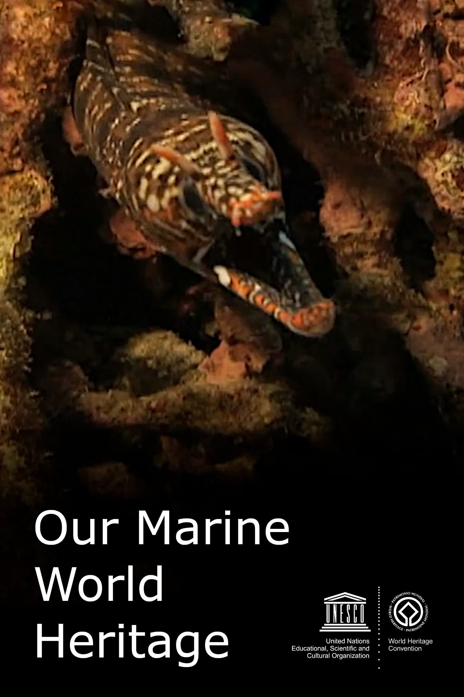 Our Marine World Heritage backdrop