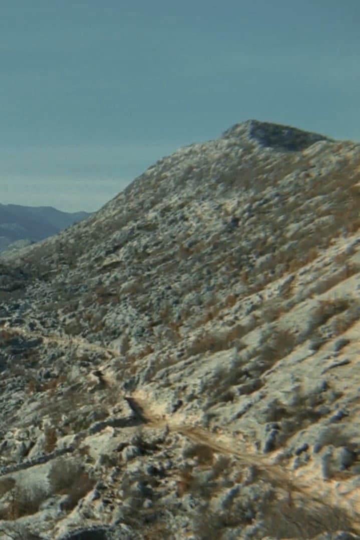 The Road backdrop
