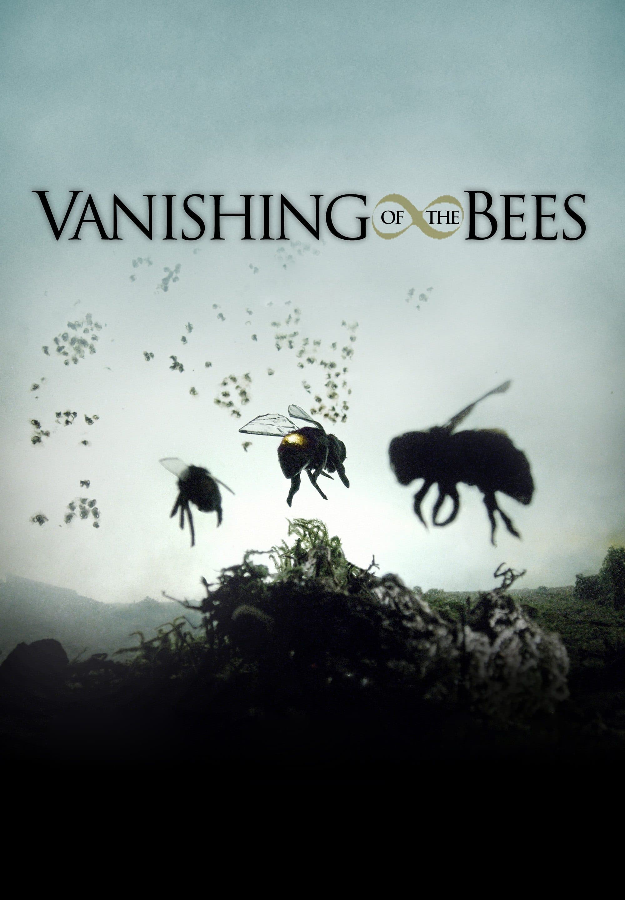 Vanishing of the Bees backdrop