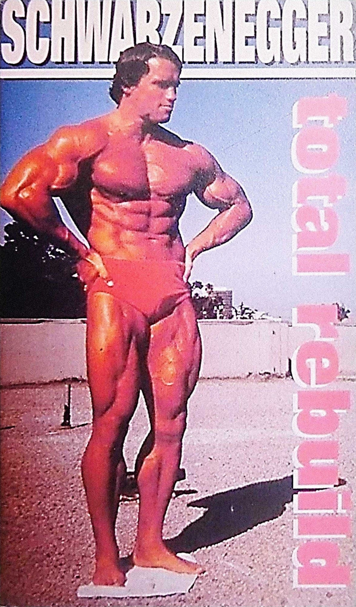 Schwarzenegger: Total Rebuild backdrop