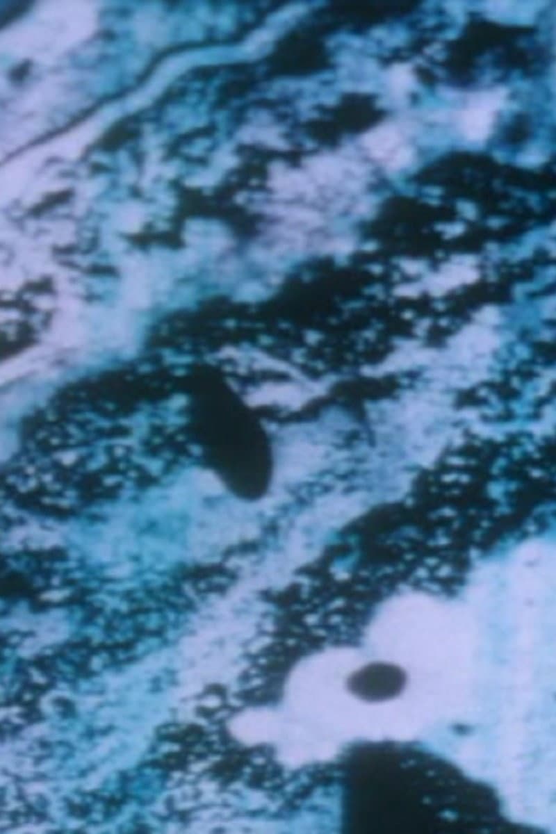 Anomalies of the Unconscious backdrop