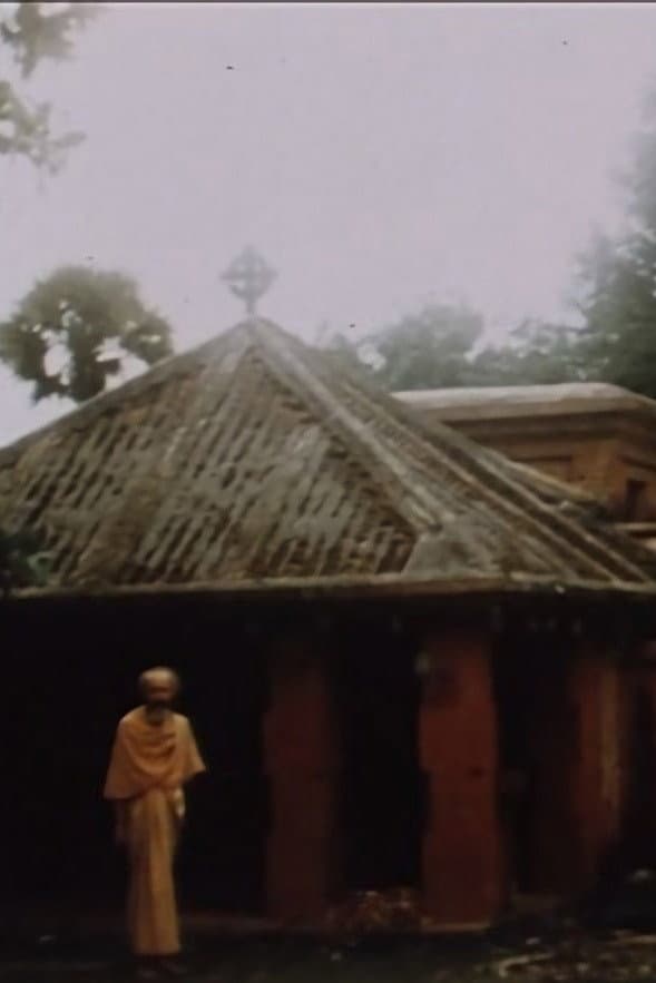 Swamiji, un voyage intérieur backdrop