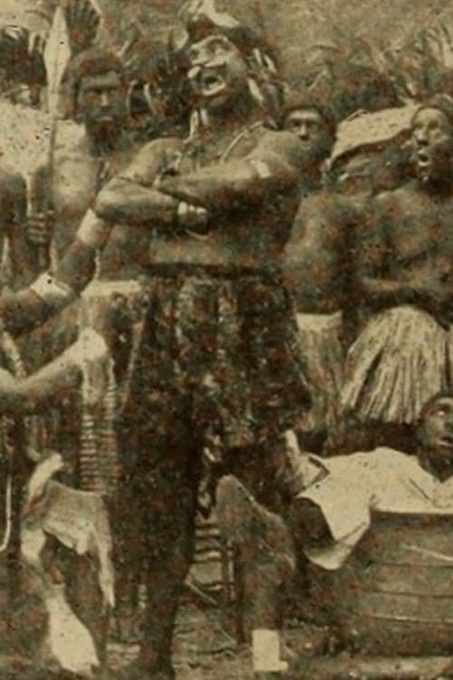 Rastus in Zululand backdrop