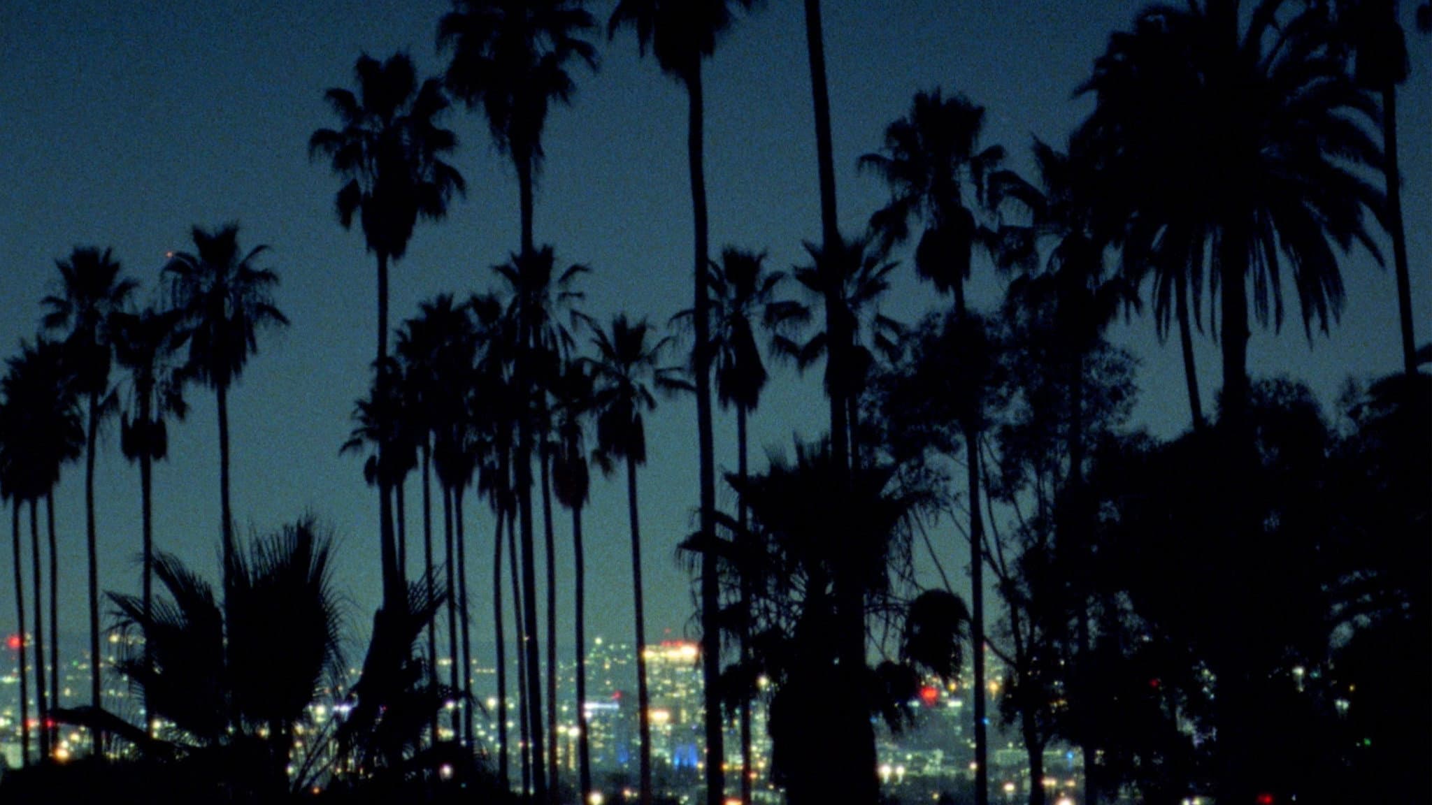 Palm backdrop
