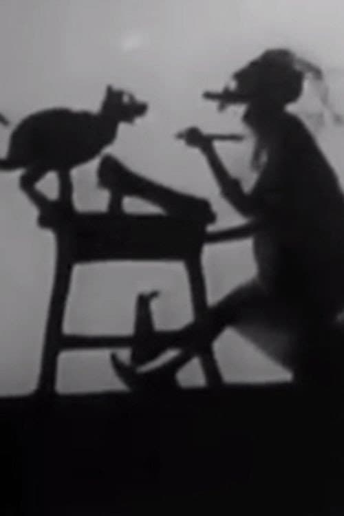 Noah Put The Cat Out backdrop