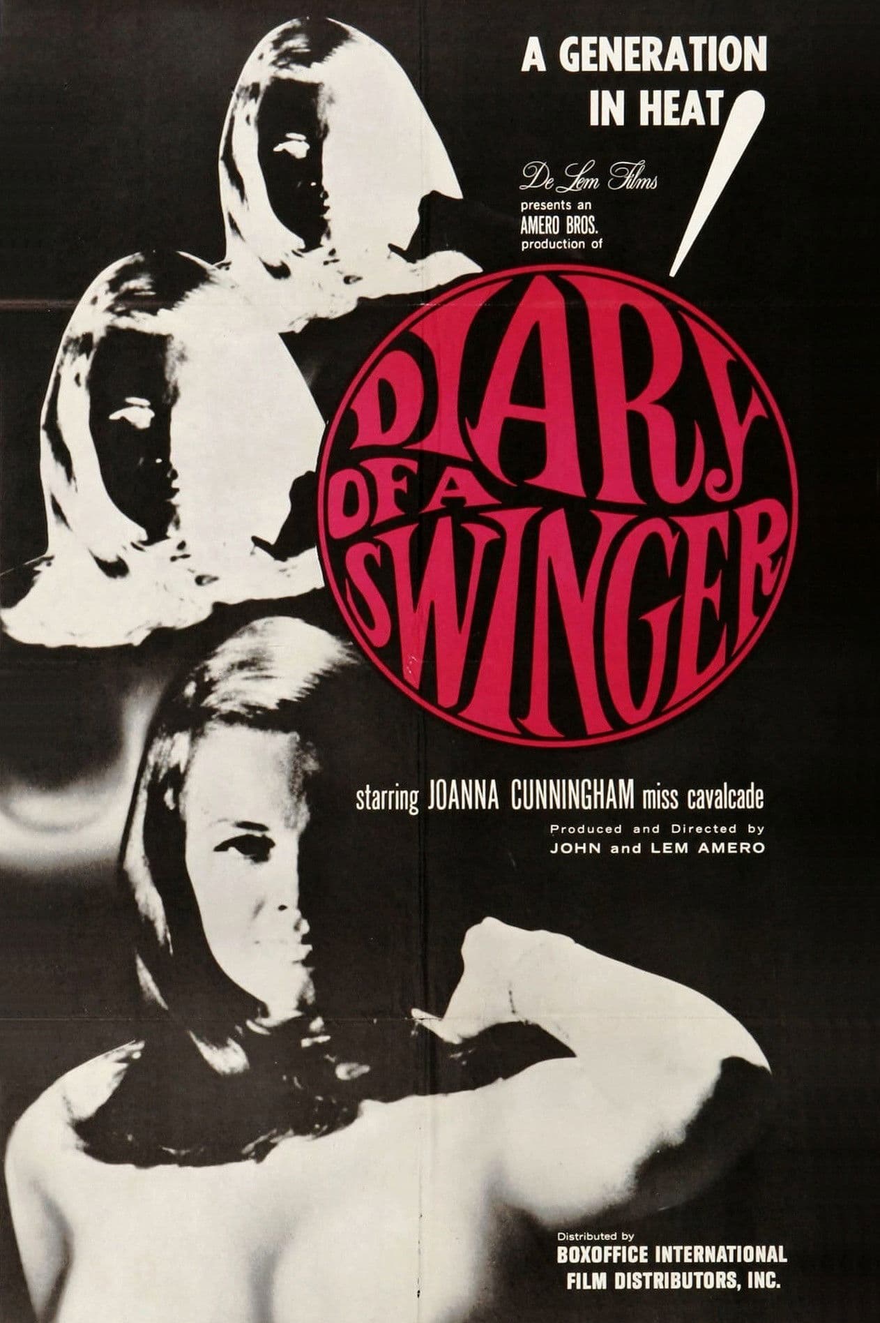 Diary of a Swinger backdrop