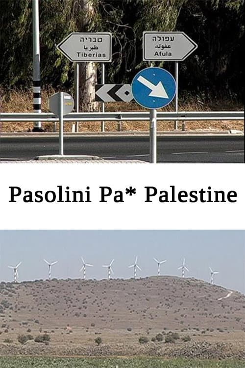 Pasolini Pa* Palestine backdrop