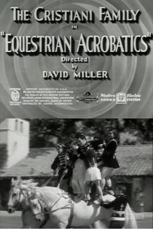 Equestrian Acrobats backdrop