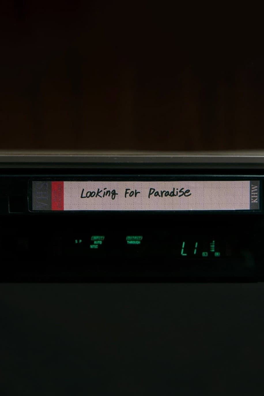 Looking For Paradise backdrop