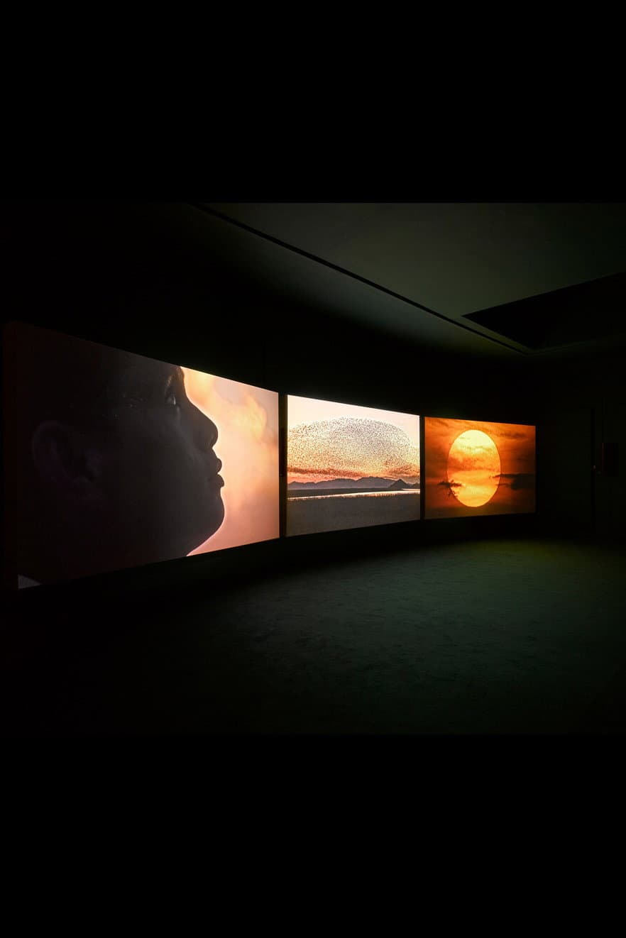 Four Nocturnes backdrop