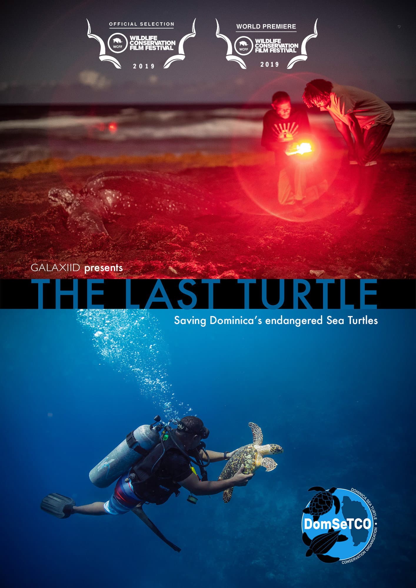 The Last Turtle backdrop